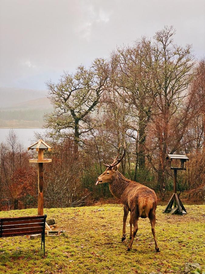 Tarmachan Cottage - West Highland Getaway Fort William Luaran gambar